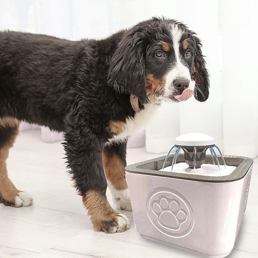 Petmate Water Fountain 1.5L image 3
