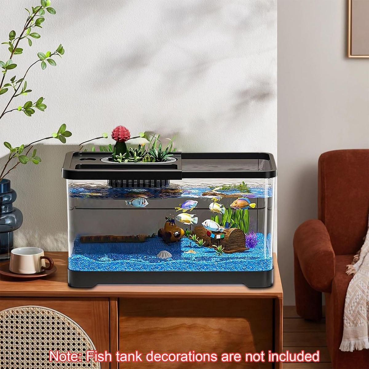 Robben Island Aquarium Starter Kit 20L image 3